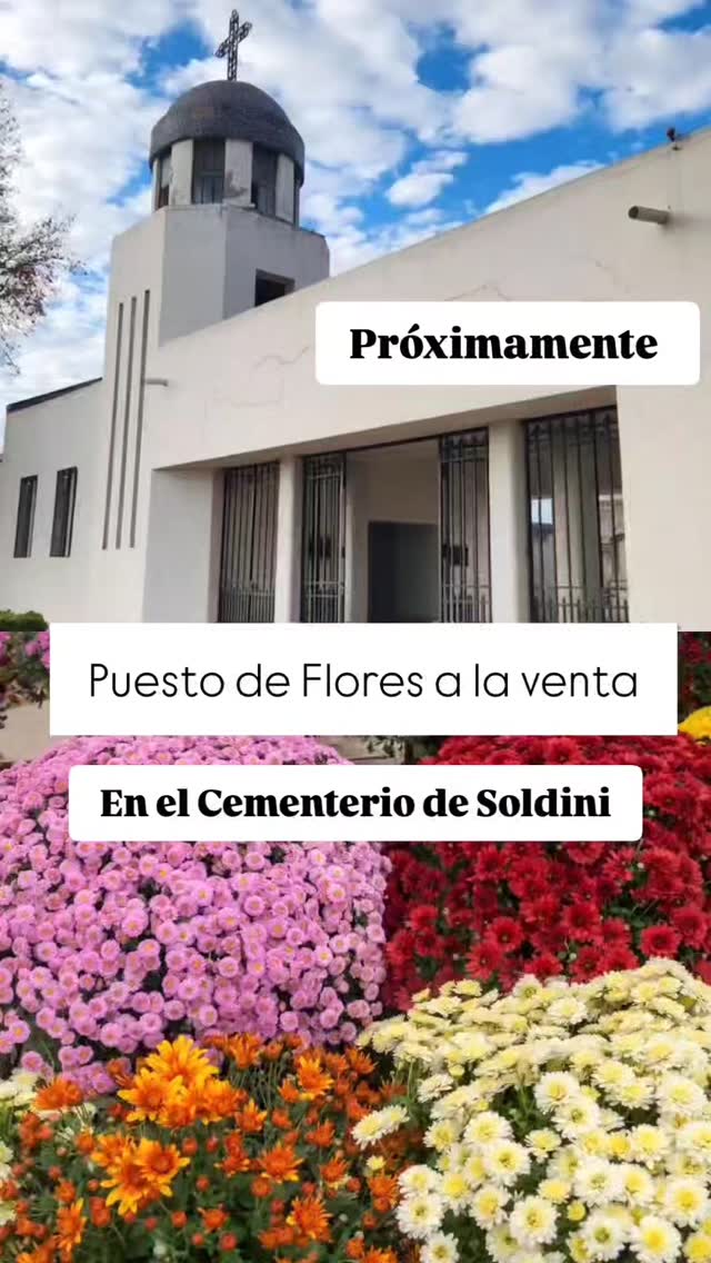 ****NOVEDADES**** A pedido y sugerencia de clientes, estaremos próximamente con puesto de venta de flores en el Cementer...
