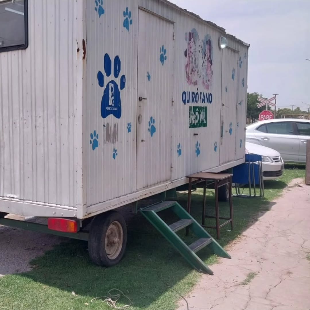 🐱Hoy se realizaron las últimas castraciones de este año. Con un total de 32 animales esterilizados🐶 El año que viene, ...